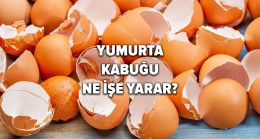 Yumurta kabuğu ne işe yarar? İşte pek de bilinmeyen “yumurta kabuğu faydaları”