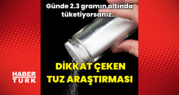 Dikkat çeken tuz araştırması!