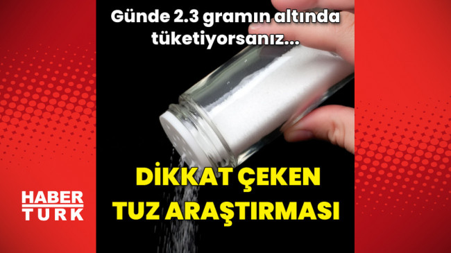 Dikkat çeken tuz araştırması!