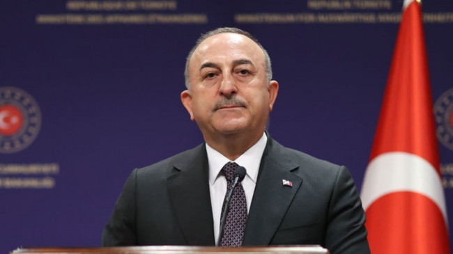 Dışişleri Bakanı Çavuşoğlu, Mısırlı mevkidaşı Şukri ile Adana’da bir araya geldi