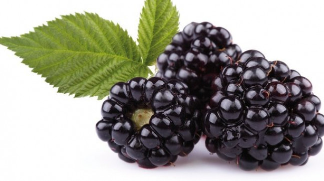 Mucize Meyve Böğürtlenin Faydaları Nelerdir? Böğürtlen Neye İyi Gelir, Besin Değerleri Nelerdir? -Son Dakika Haberi