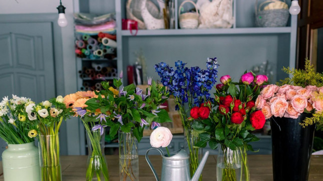 Anemon nasıl bakılır? Evde anemon çiçeği bakımı ve sulama