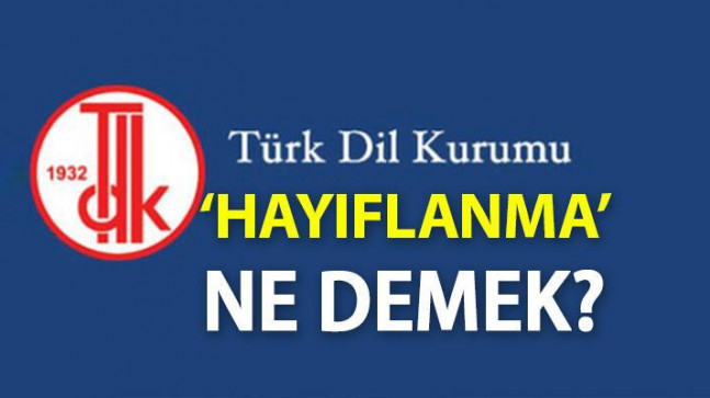 Hayıflanma Ne Demek? TDK’ya Göre Hayıflanma Kelime Anlamı Nedir, Nasıl Kullanılır?