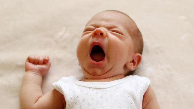 Talya İsminin Anlamı Nedir? Talya İsmi Kur’an’da Geçer Mi, TDK Sözlük Anlamı Ne Demek?