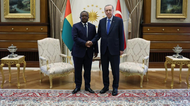 Cumhurbaşkanı Erdoğan, Gine Bissau Cumhurbaşkanı Embalo ile görüştü