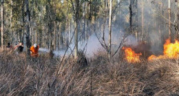 Mersin’deki orman yangını kontrol altına alındı