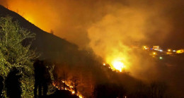 Trabzon’da ormanlık alanda yangın – Son Dakika Haberler