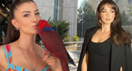 Burcu Özberk’in papağanı kaçtı! Bulana para ödülü verecek – Magazin Haberleri