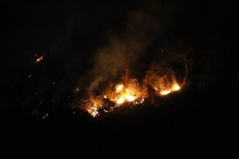 Trabzonda ormanlık alanda yangın