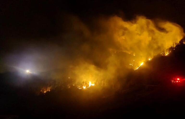 Trabzonda ormanlık alanda yangın